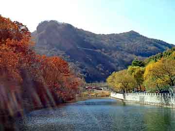 岛屿失梦